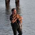 Officer Dives Under Dock To Save Baby Animal — Then Reunites Her With Mom