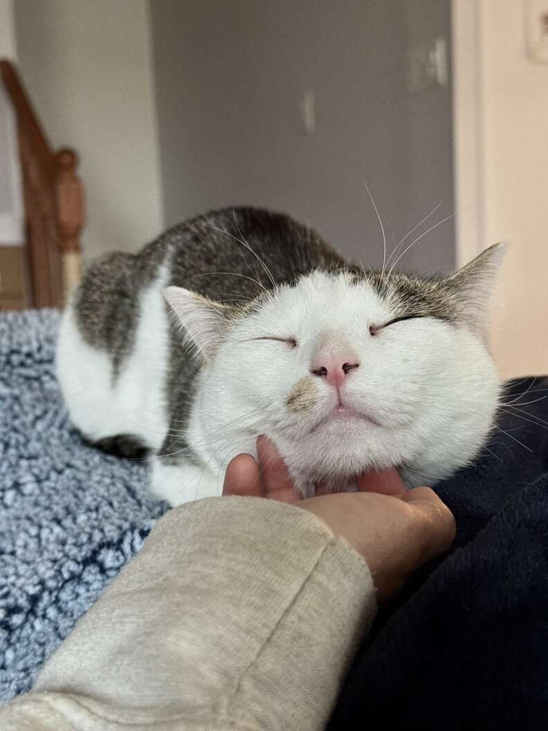 Brendan nursing Callie back to health