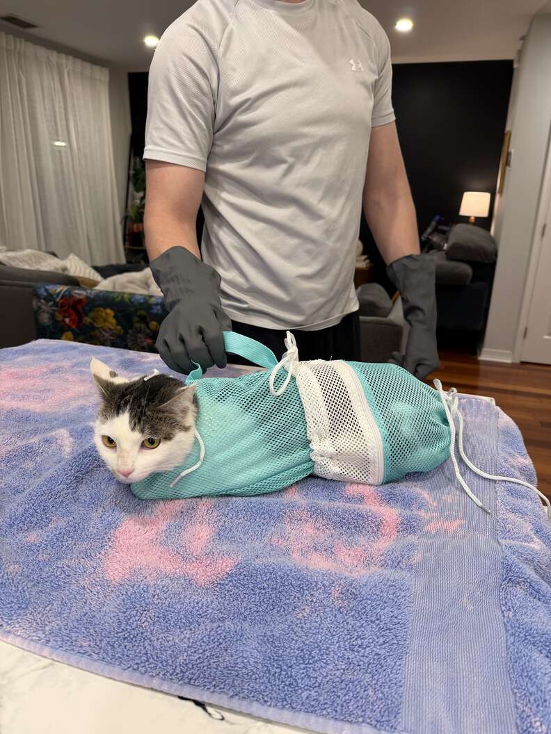 Callie at the vet's office