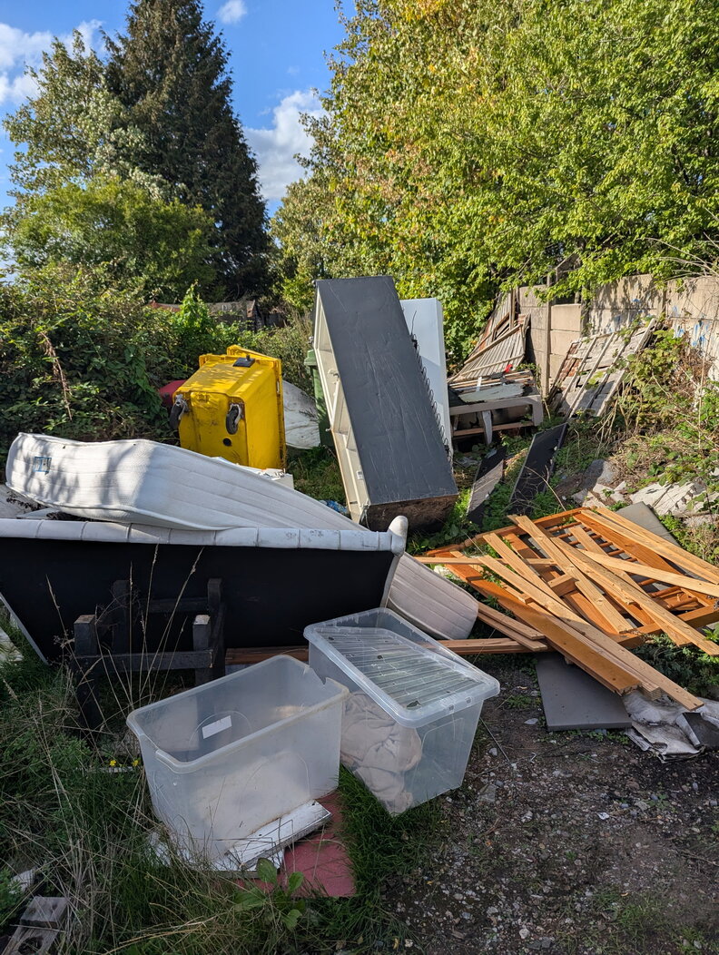 Man Out For Walk Finds Boxes Piled In Alley With 26 Little Lives Sealed ...