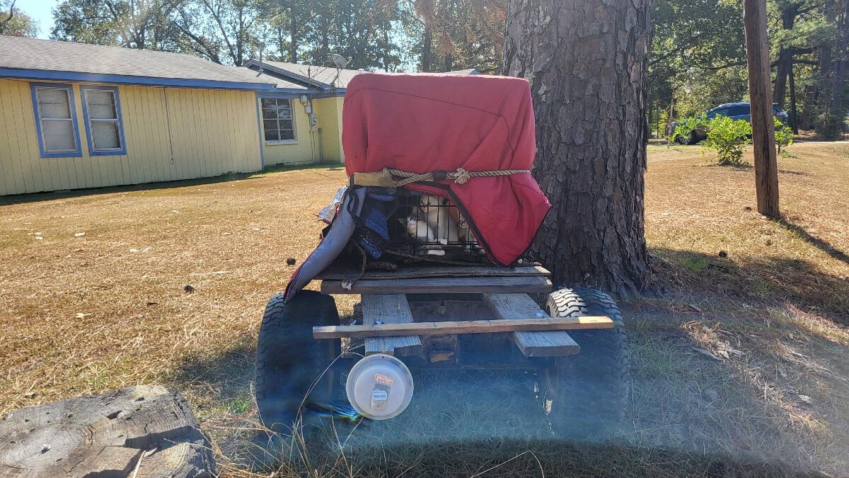 Homeowner Finds Trailer Abandoned In Her Yard And Realizes It's Hiding Babies - The Dodo