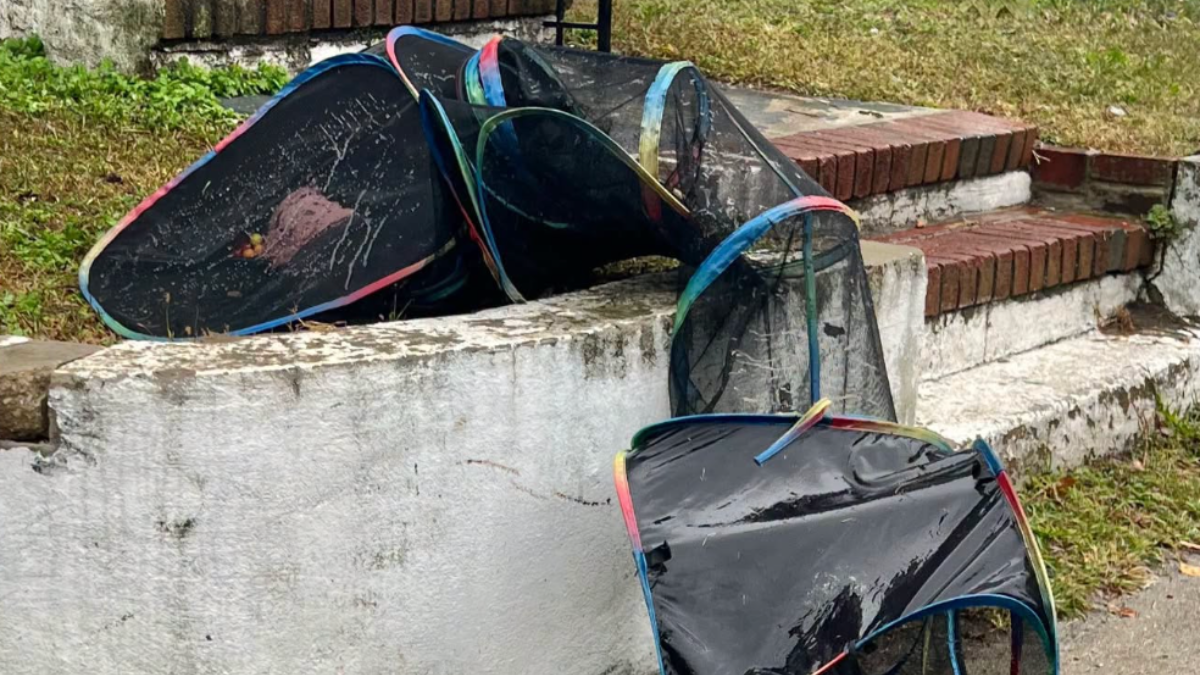 Officers Get A Call About Mesh Tunnel In Yard And Find 4 'Soaking Wet' Babies Inside