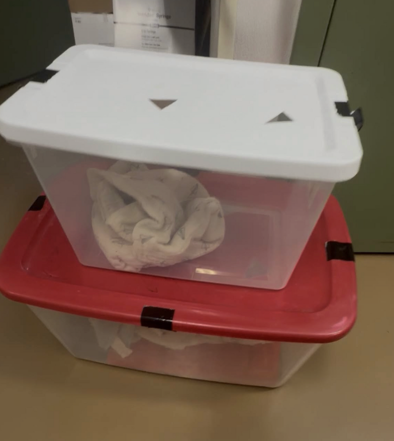 プラスチック製のバケツ