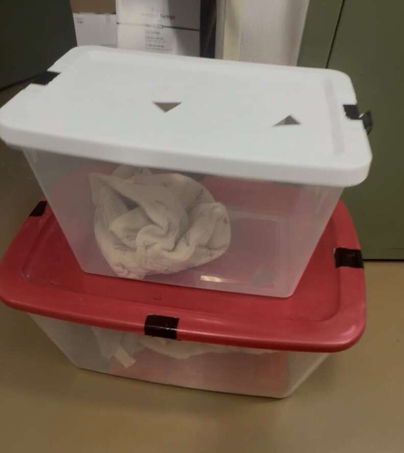 プラスチック製のバケツ