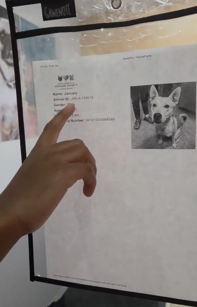 Shelter Dog Keeps Trying To Distract Kid Reading To Him With Kisses ...