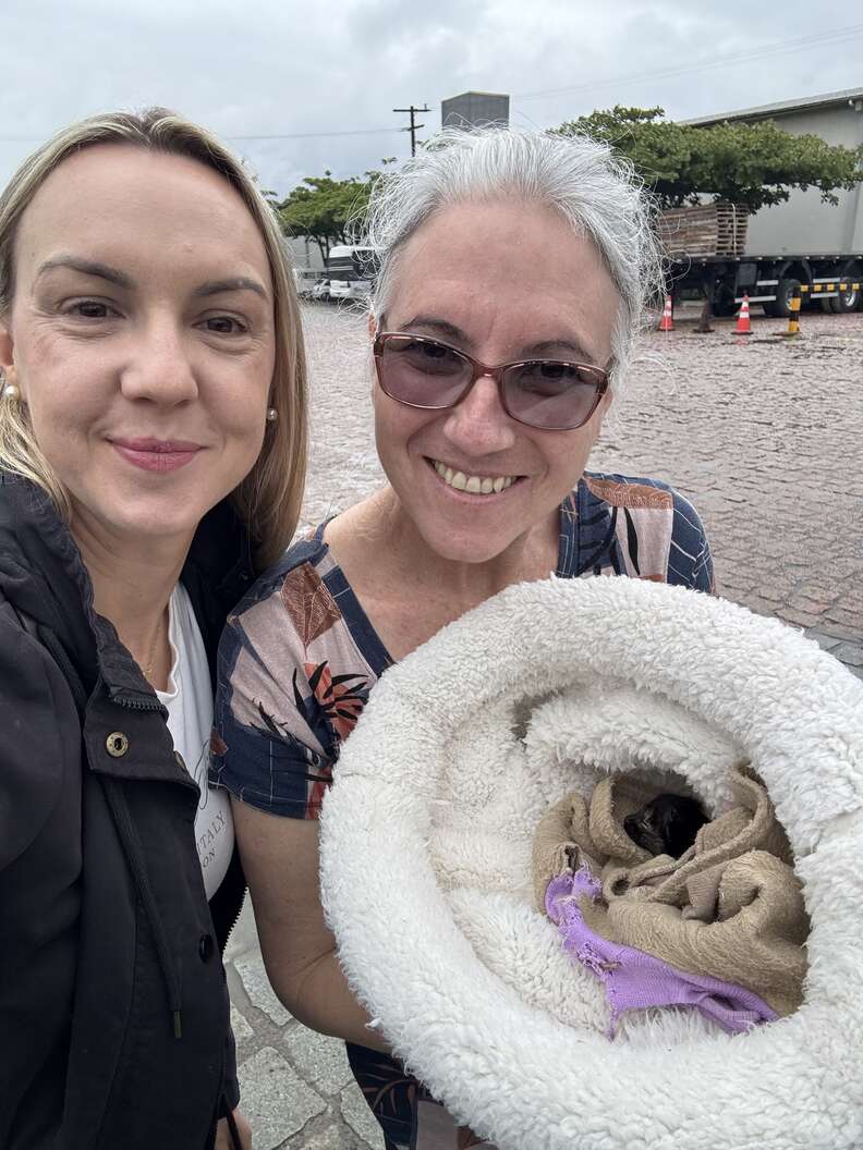 Image of the rescued kitten