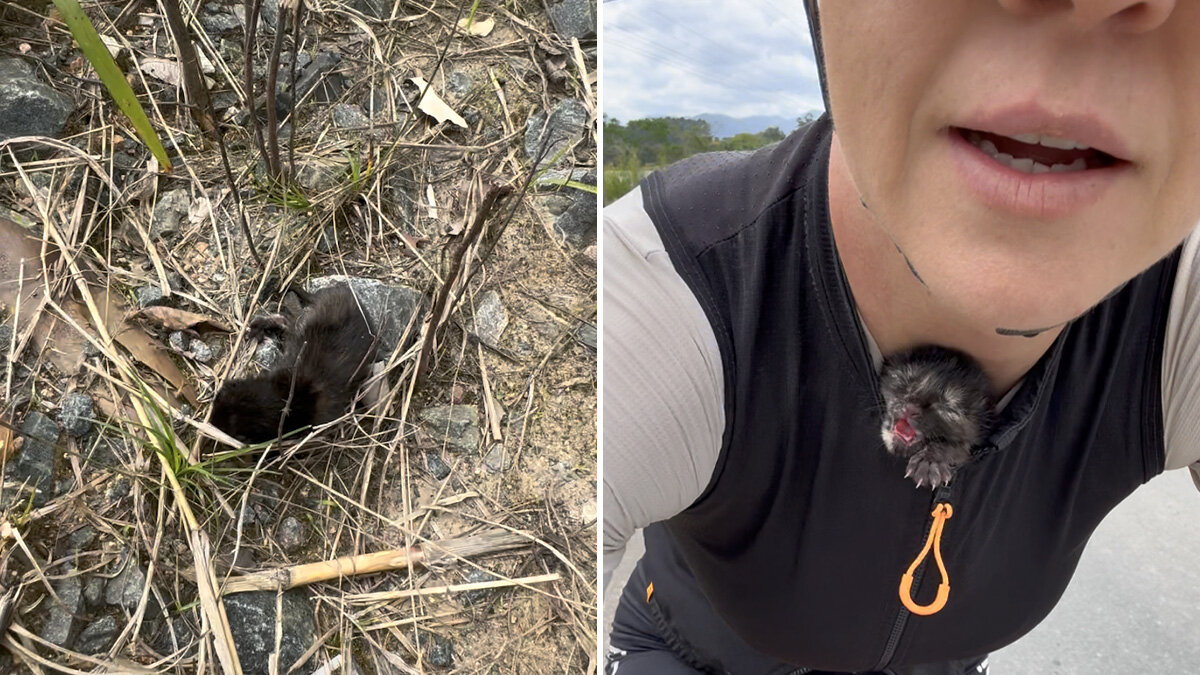 Cyclist Hears Cries On The Roadside And Finds A Tiny Baby Who Needs A Ride