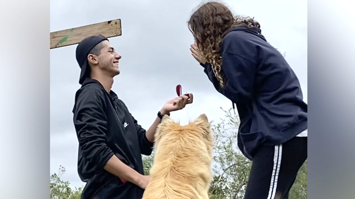 Mystery Dog Crashes Proposal Video, Then Lands An Invite To Their ...