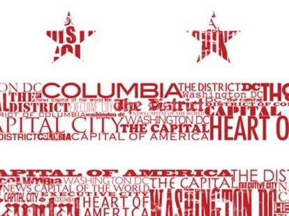 Washington DC Flag Poster - Thrillist