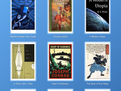 Bluefire Reader - Thrillist