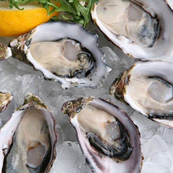 Quarter Oysters at Shaw's Eat Thrillist Chicago