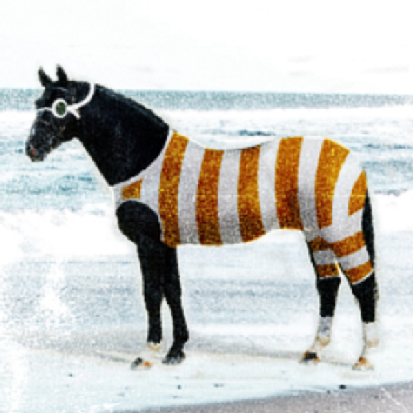 The Diving Horse A Restaurant in Avalon, NJ Thrillist