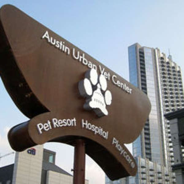 Austin Urban Vet Thrillist