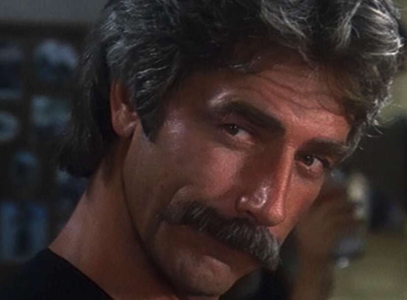 Submarine Ride Mustache Tom Selleck Mustache Ride
