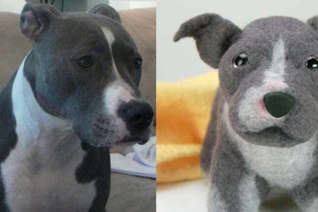 Red nose pitbull on sale stuffed animal