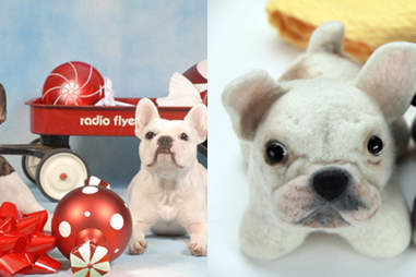 Custom Stuffed Dogs - Own - Thrillist Nation