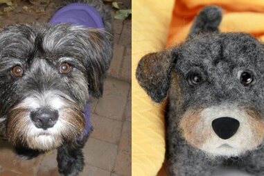 Custom Stuffed Dogs - Own - Thrillist Nation