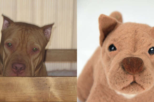 Custom Stuffed Dogs Own Thrillist Nation