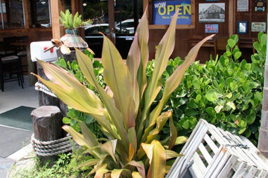 Fish Shack & Market - Eat - Thrillist Miami
