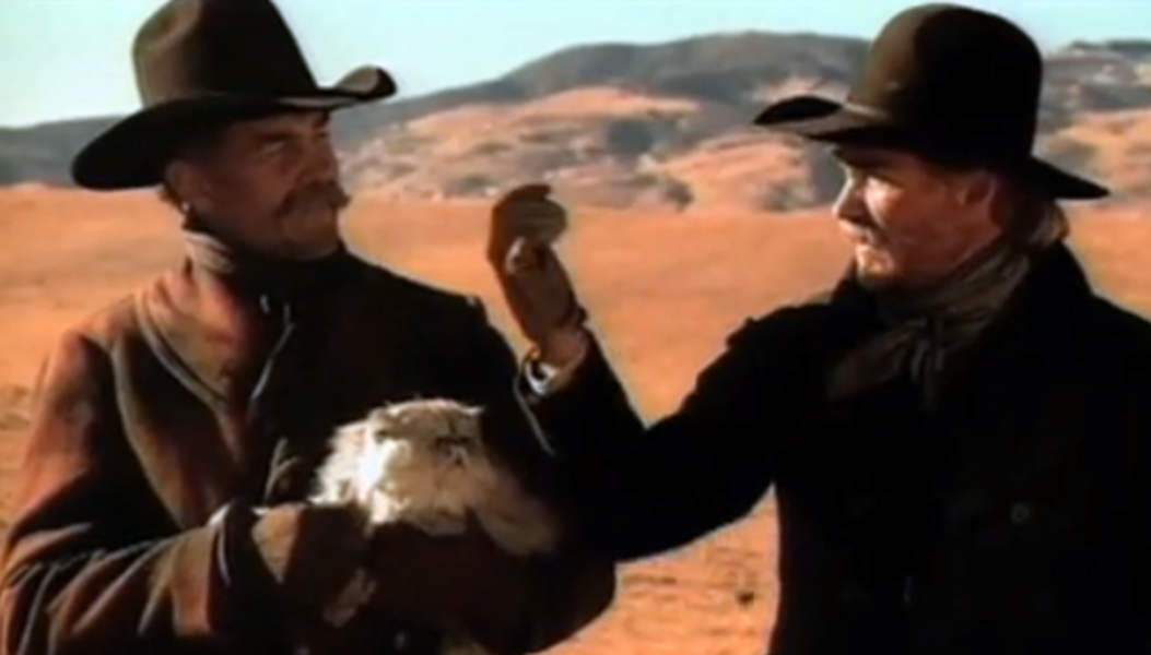 Super Bowl Animals Where Are They Now Entertainment Thrillist Nation