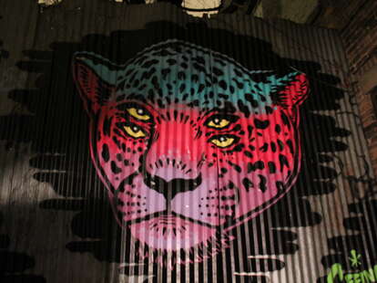 A mural of a four eyed leopard