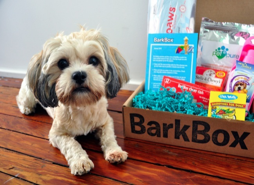 BarkBox Own Thrillist Nation