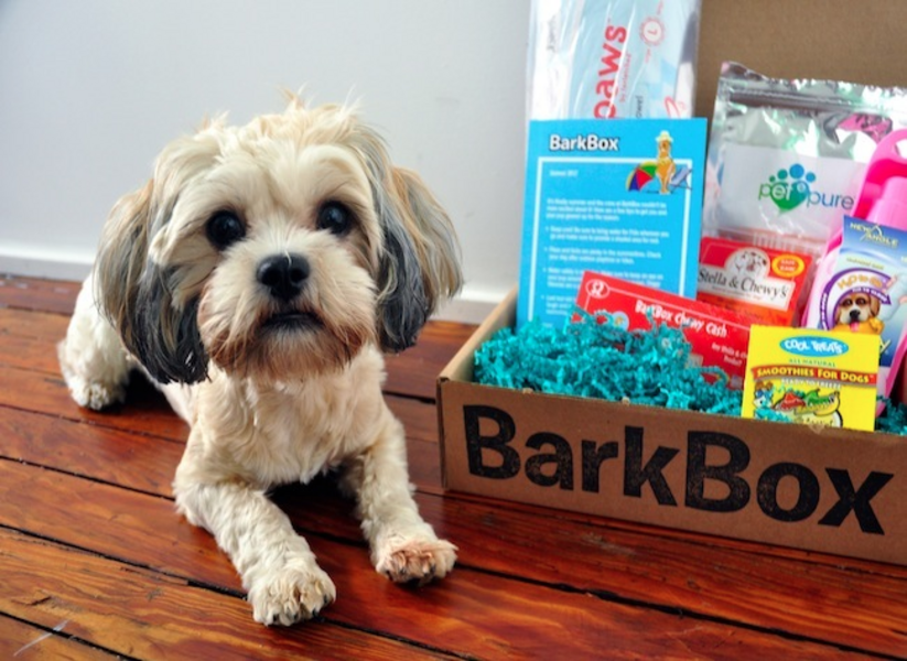 BarkBox - Own - Thrillist Nation