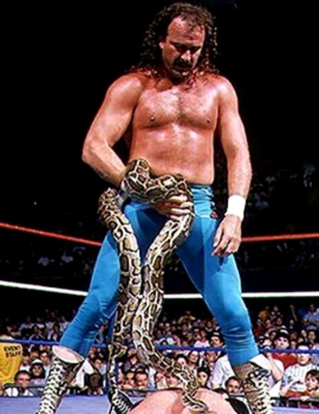 Jake The Snake On...: A Other in West Hollywood, CA - Thrillist