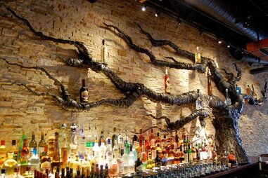 Tequila and tree at Milagro Cantina