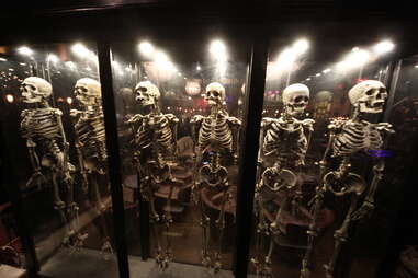Jekyll & Hyde interior - skeleton