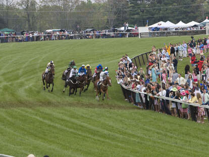 Horses at Foxfield