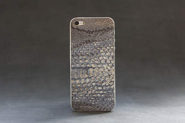 Blue python skin