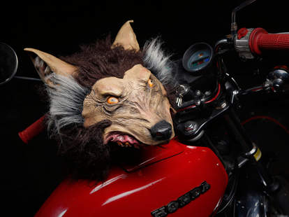 Wolf Helmets - Own - Thrillist Nation