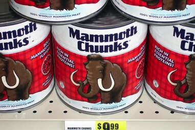 Mammoth chunks at Time Travel Mart