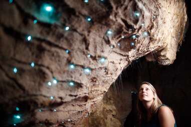 the glow worm caves new zealand