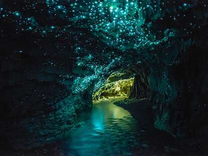 the glow worm caves new zealand