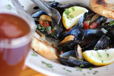 mussels at Colorado Plus