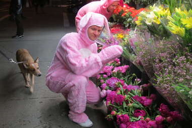 Pink Bunny, East Village