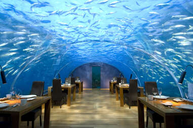 Conrad Underwater Restaurant