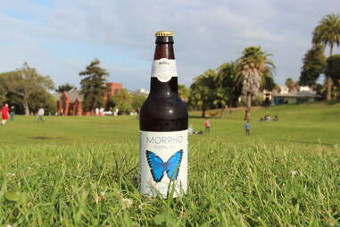 Cerveceria de MateVeza's Morpho