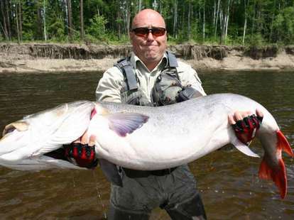 Taimen fishing in Siberia
