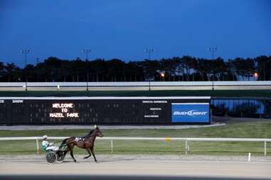 Hazel Park horse on track