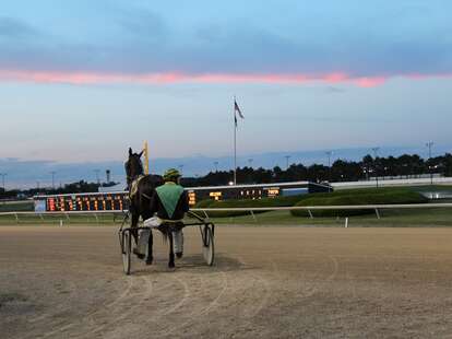 Horse on track