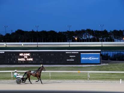 A horse on the track at the Hazel Park Raceway