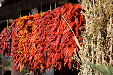 red chiles in Albuquerque