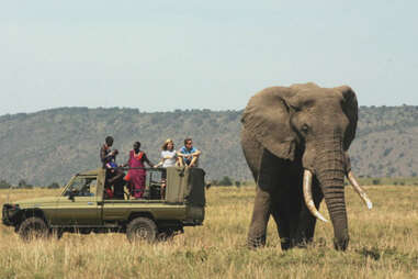 A Maasai tour guide on the Serengeti