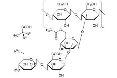 xanthan gum