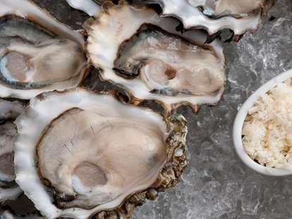 Closeup of oysters in ice