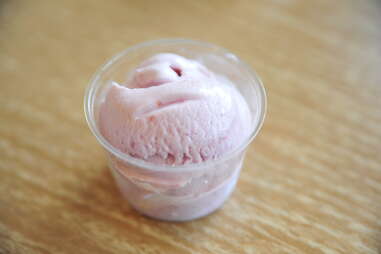 vegan raspberry ice cream at Sweet Action Ice Cream
