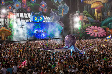 Electric Daisy Carnival